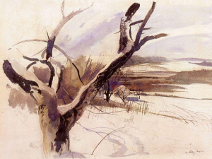 by Andrew Wyeth